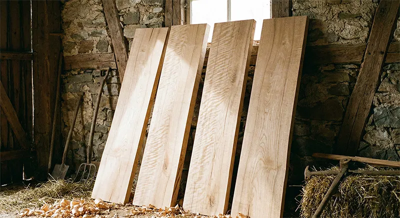 Beech wood grain