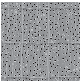 Detailed illustration of diffuse porous wood