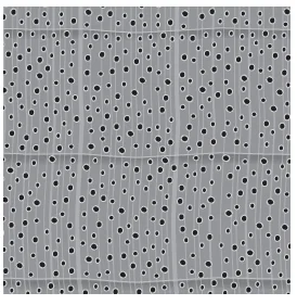 Detailed illustration of diffuse porous wood